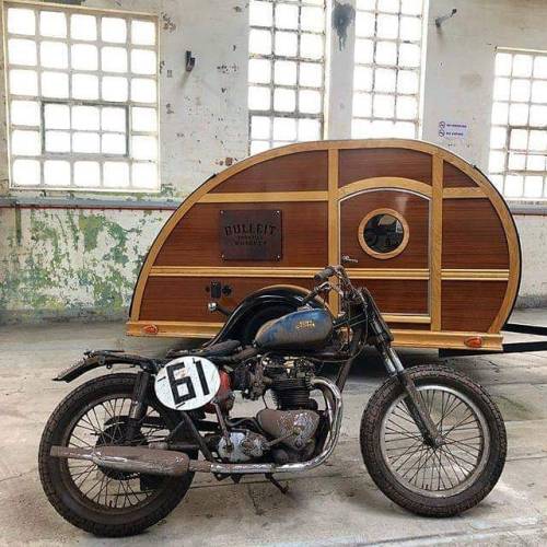 #triumph #flattracker...