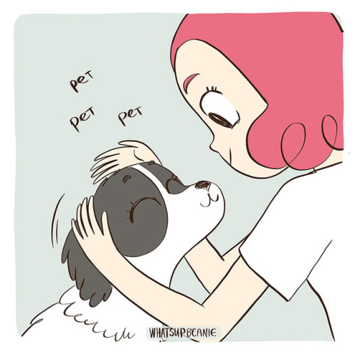 whatsupbeanie:That moment when you pet the puppy and their ears...