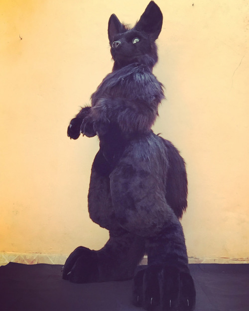 fursuit cobywongfursuit comission germanshepherd fursuitmaker