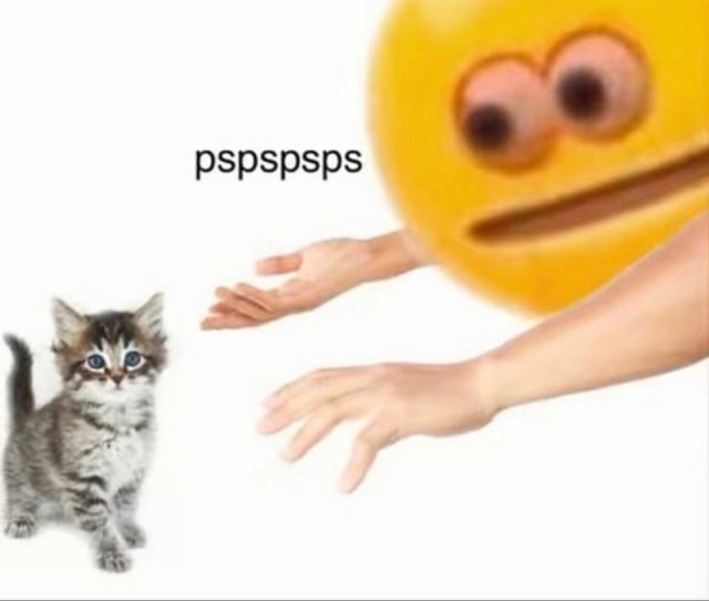 Funny Cat Pictures Memes Quotes Cursed Emoji Meme Cat