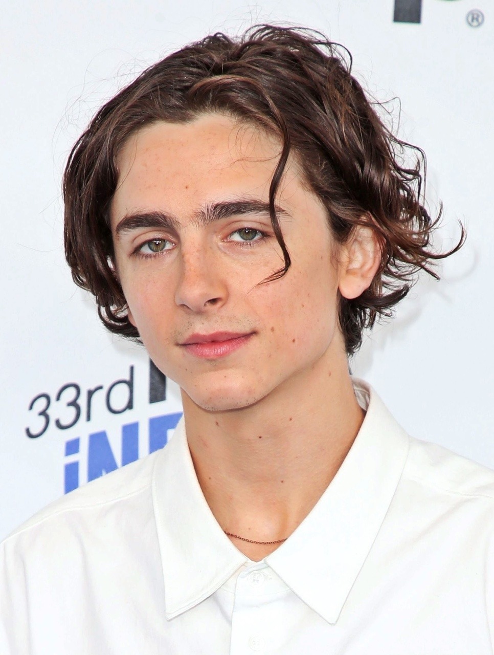 A Perfect Saint — The Escaping Curl Part 1 of my Timothée Chalamet...