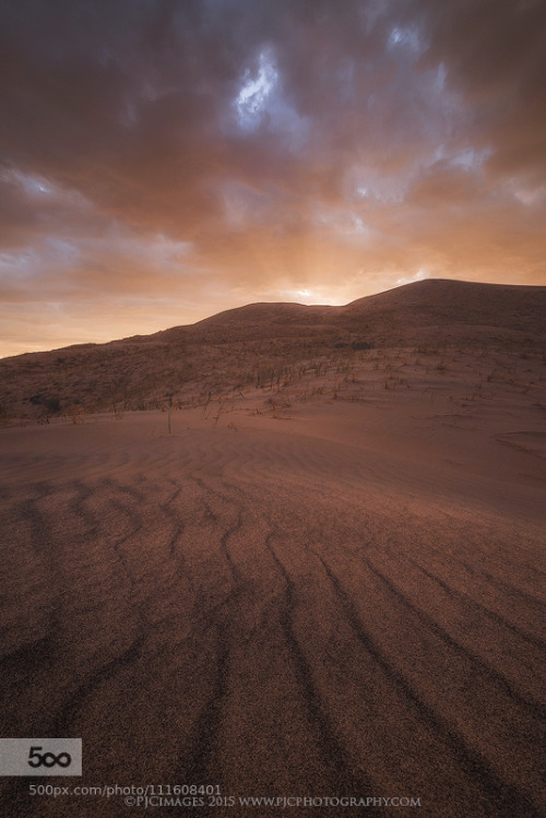 mohave desert on Tumblr