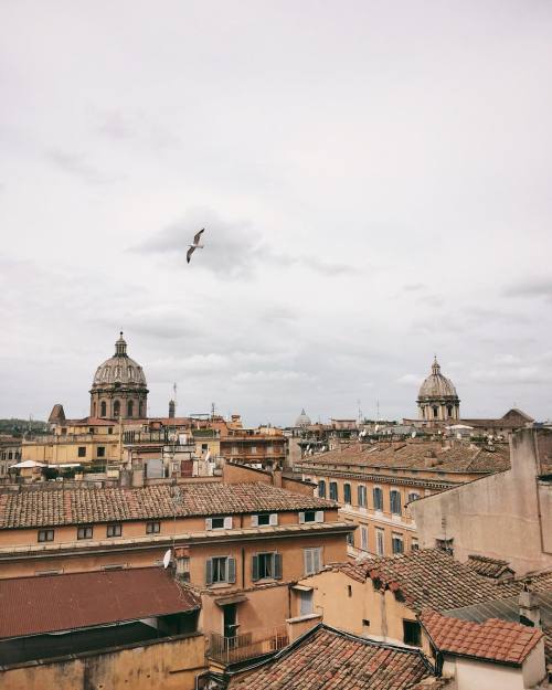 crosmataditele:Roma è la città degli echi, la città delle...