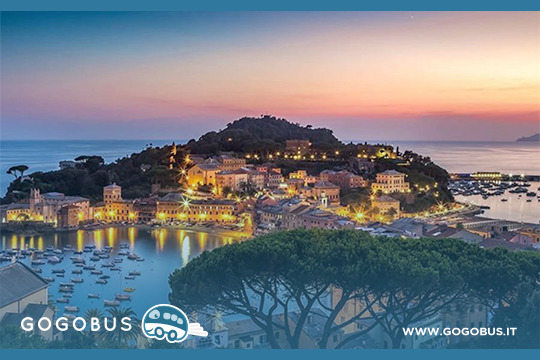 Unestate Al Mare Voglia Di Viaggiare Con Gogobus