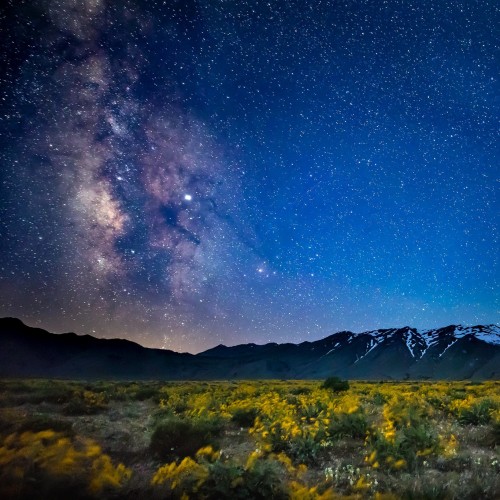 americasgreatoutdoors