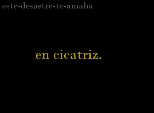 este-desastre-te-amaba:La sinfonía del alma.