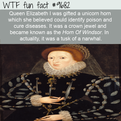 Queen Elizabeth I was gifted a unicorn horn which she believed could identify poison and cure diseases. It was a crown jewel and became known as the Horn Of Windsor. In  actuality, it was a tusk of a narwhal.