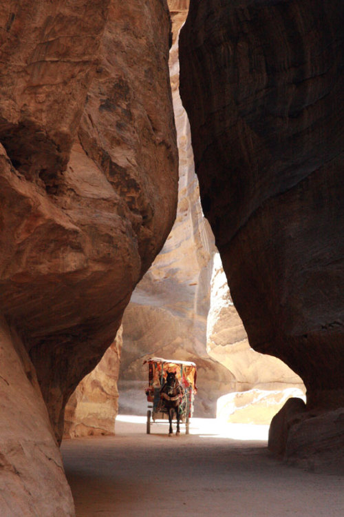 breathtakingdestinations:Petra - Jordan (by Katchooo) 