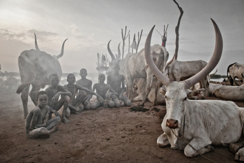 indigenouswisdom:MundariSouth SudanThe Mundari are Nilotic...