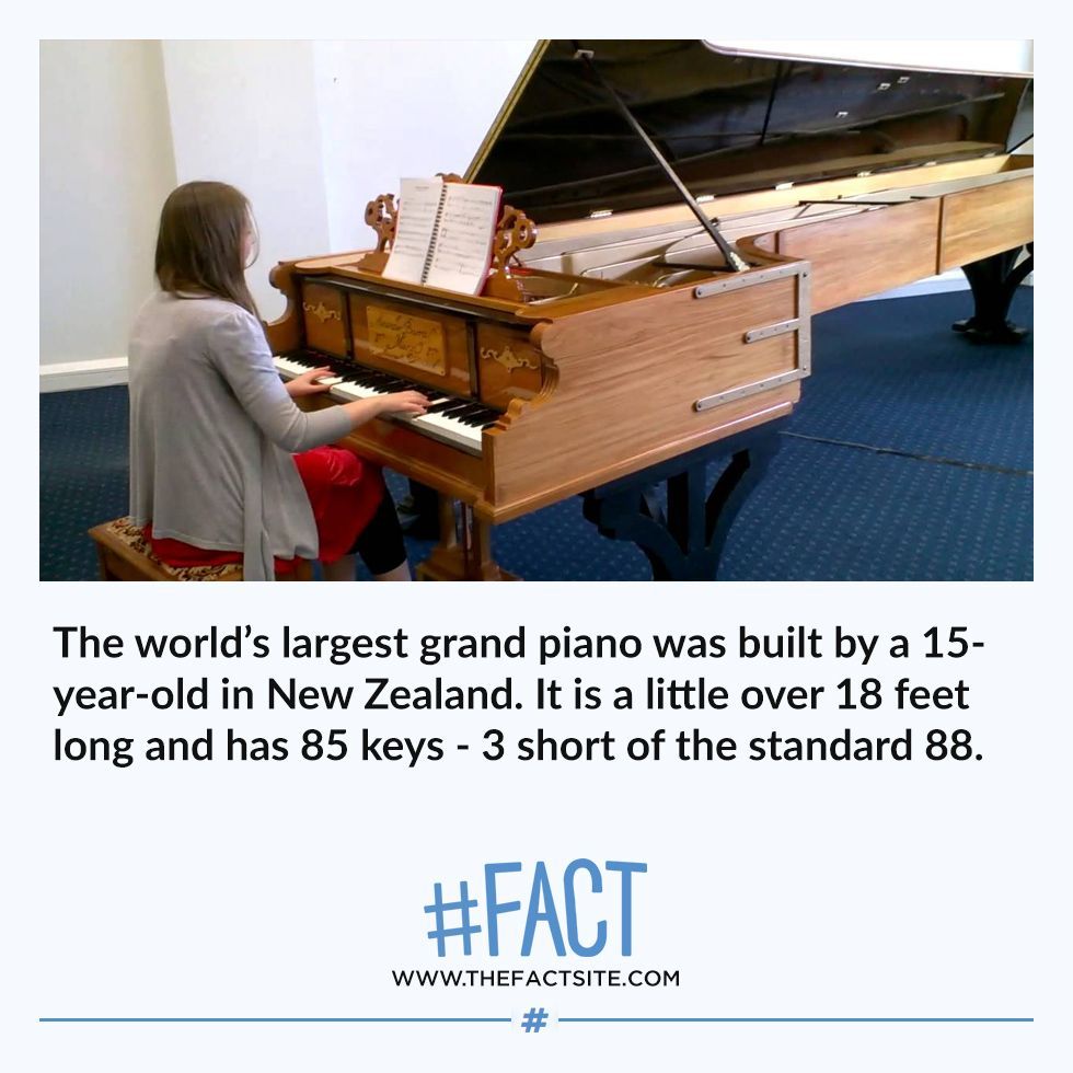 the-fact-site-the-world-s-largest-grand-piano-was-built-by-a