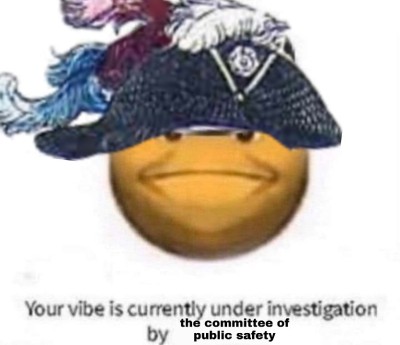 you have failed the vibe check meme