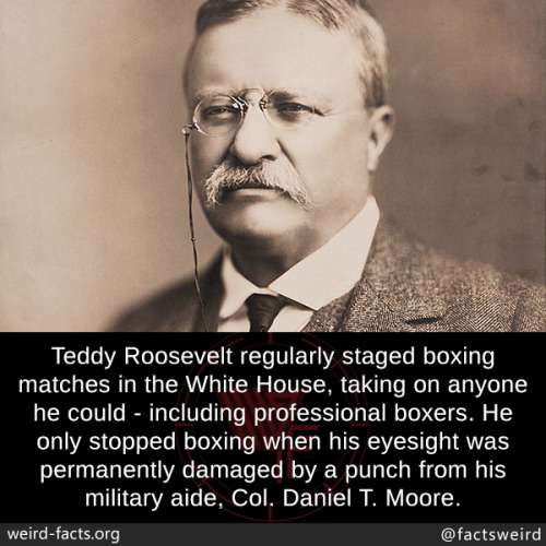 theodore roosevelt time out west