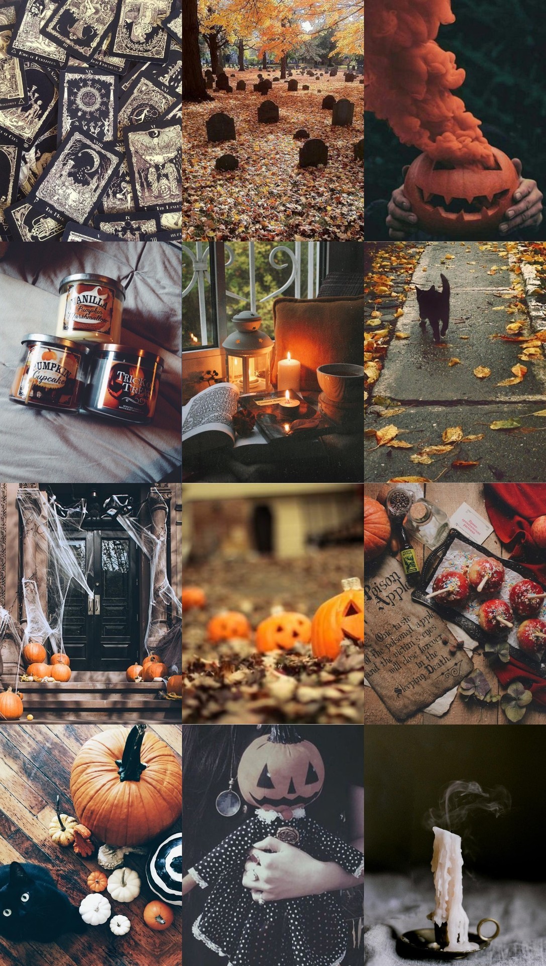 Halloween Spooktacular with Backgrounds Aesthetic