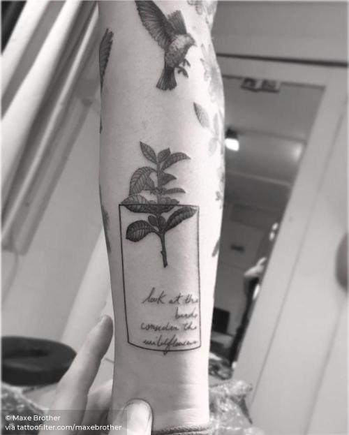 By Maxe Brother, done in Sydney. http://ttoo.co/p/30271 coffea;facebook;flower;graphic;illustrative;inner forearm;maxebrother;medium size;nature;twitter