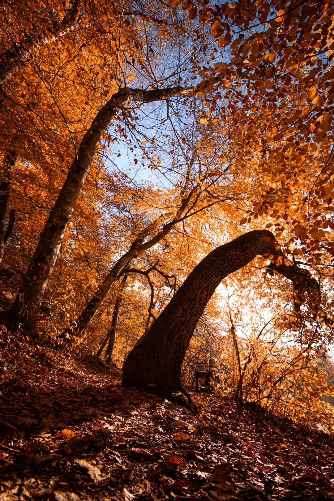 Falling love in october. Lovely October.