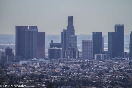 #Griffith Park Los Angeles 