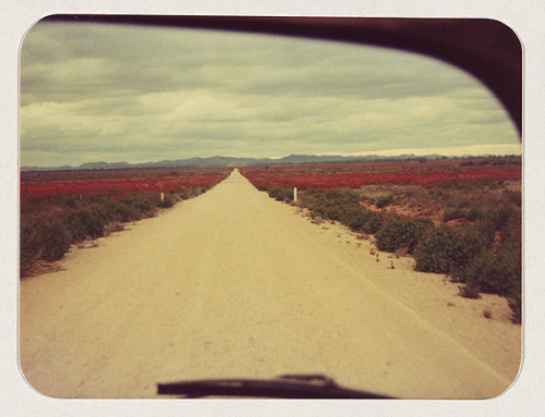 gilgai:Wesley Stacey, The road: Outback to the city 1, 2, 3, 4,...