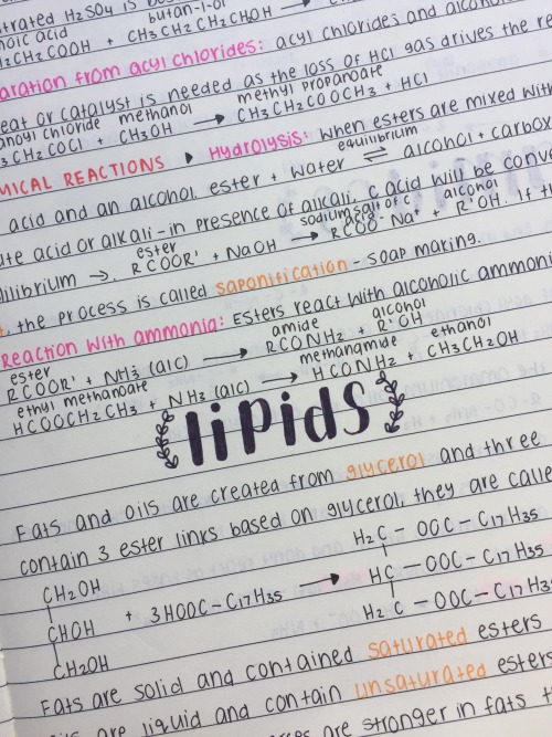 5 day study plan tumblr 5 day study plan