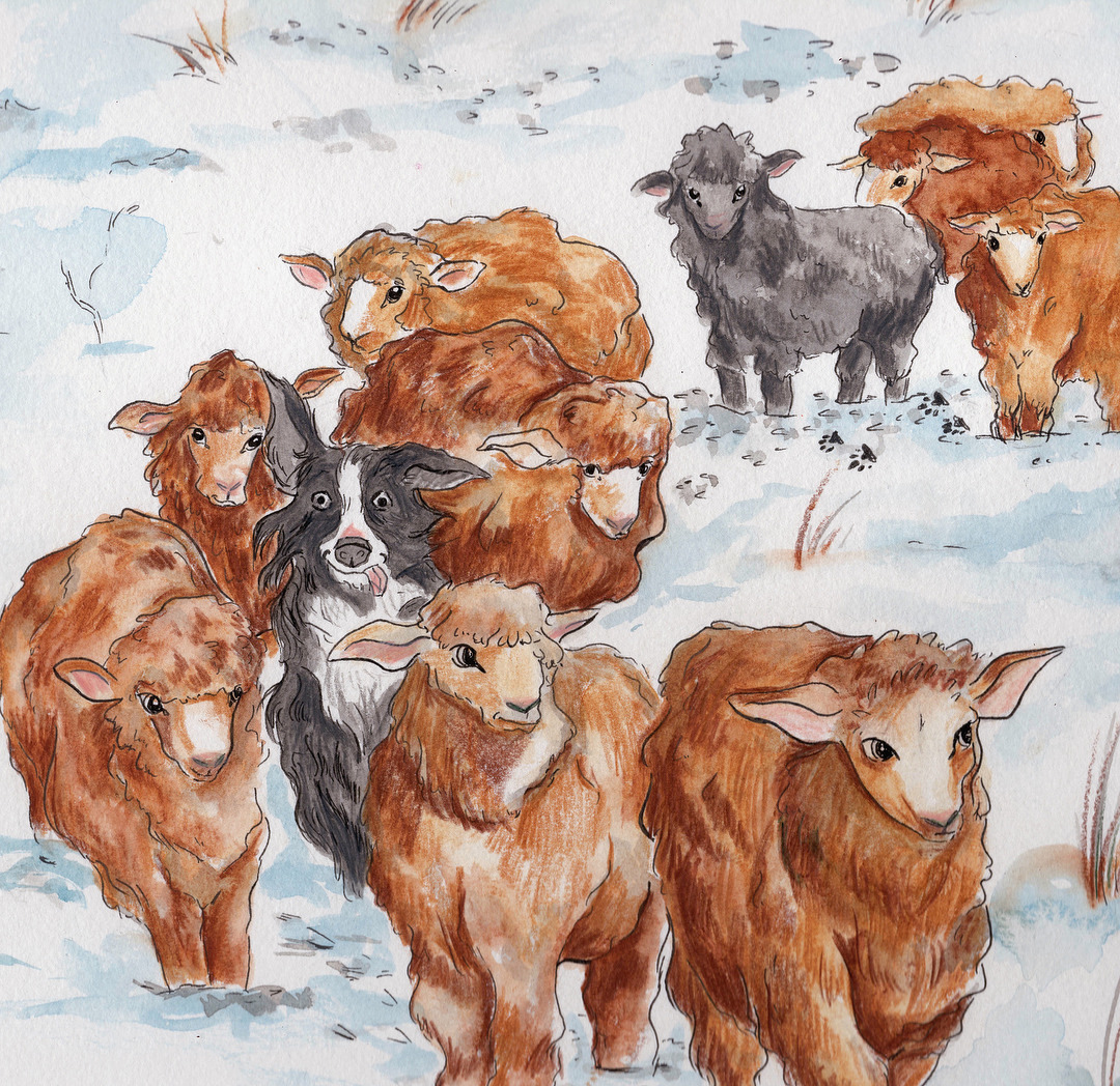 Gabrielles Illustrations Sheep Herder Art