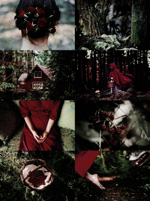 Little Red Riding Hood Aesthetic Tumblr