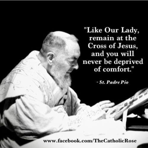 catholicsoul:St. Padre Pio, Ora Pro Nobis!