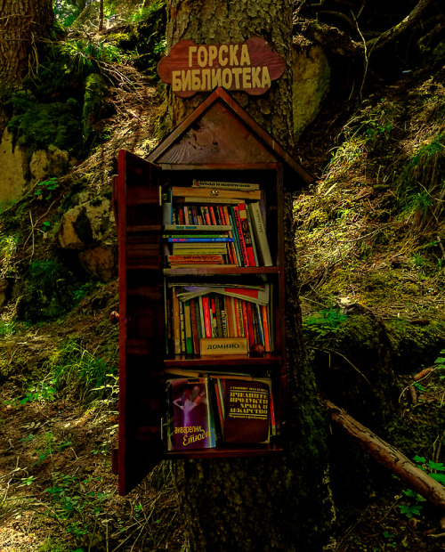 protopunica:Forest library near a waterfall in Bulgaria