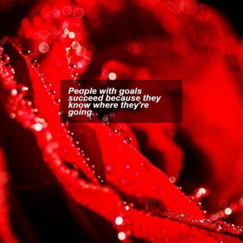 inspirational-quotes-motivation