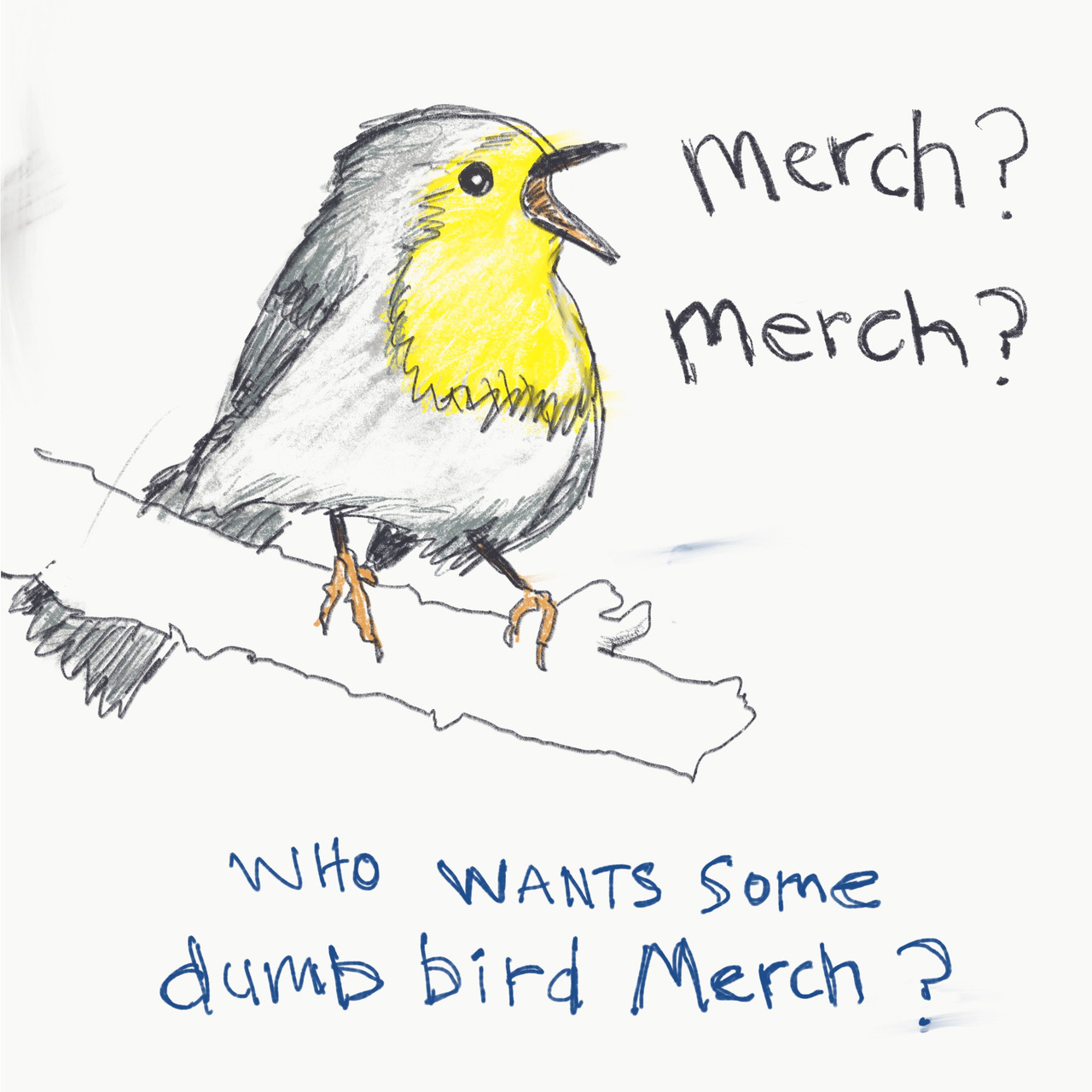 The Field Guide To Dumb Birds Of North America - Field Guide to Dumb