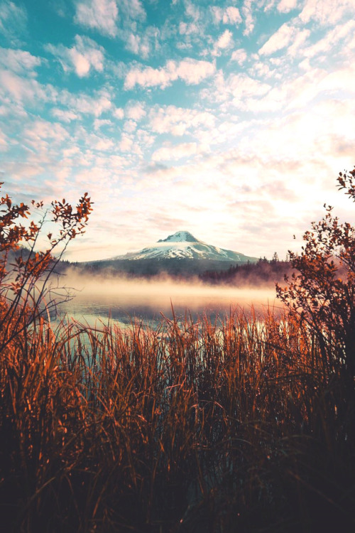 lsleofskye:Mt Hood National Forest | kanecandrade