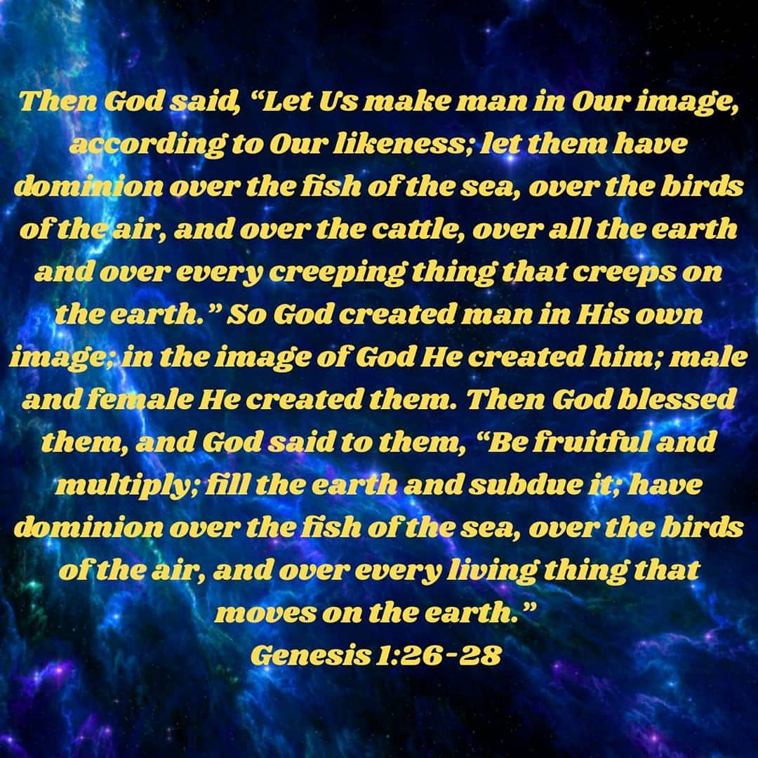 Jesus — Then God said, “Let Us make man in Our image,...