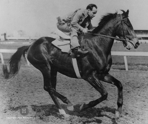 Count Fleet 1940, Stallion Reigh Count x... - The Thoroughbred Universe