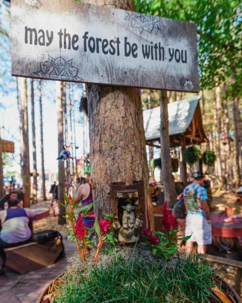 electricforestfest:Forest wisdom - words to live by. ✨...