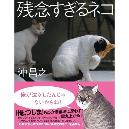 愛しすぎる残念をいっぱいつめこみました。ぼくの猫写真...