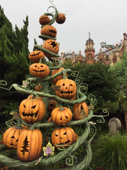 frankenstein-ate-my-left-shoe:Tokyo Disneyland - September 12,...