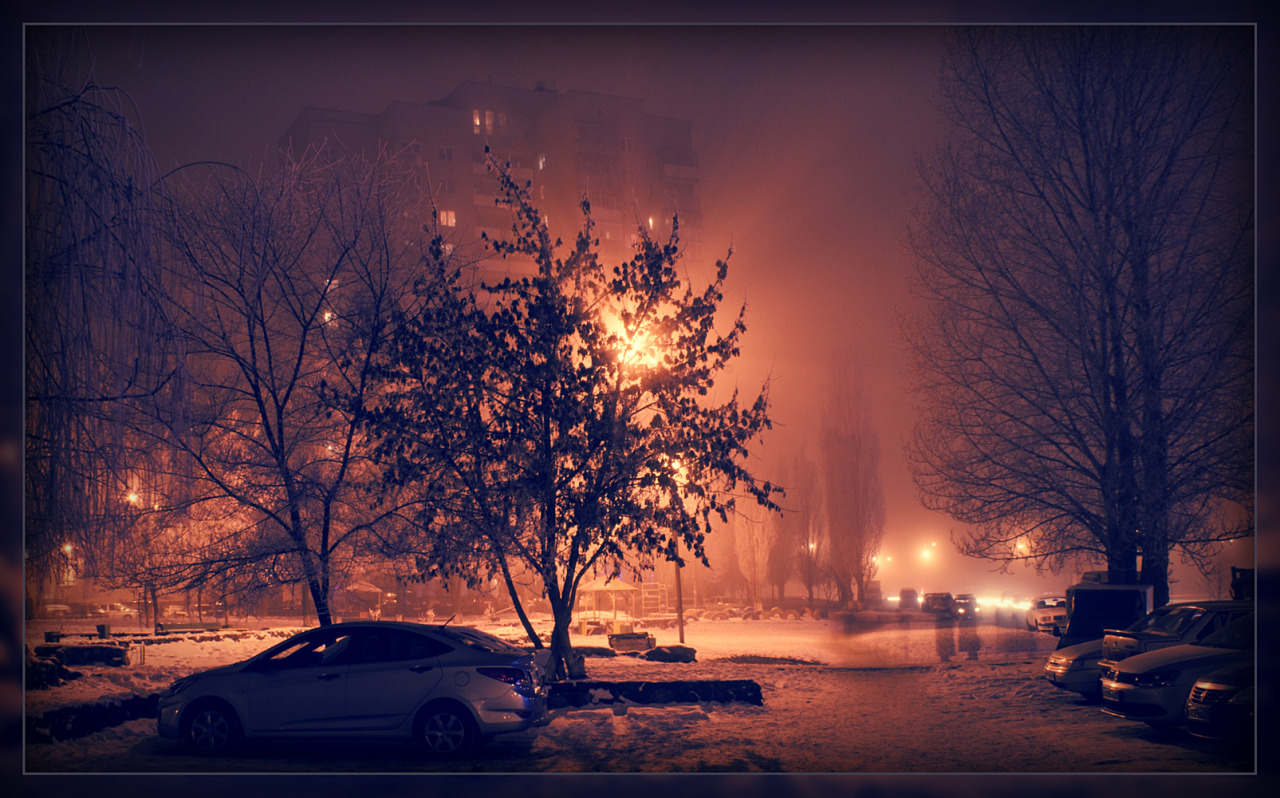 Фото зимы ночью в городе