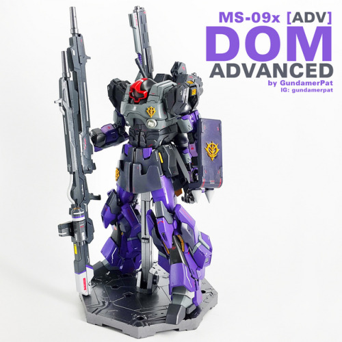 rx-79bluedestiny:Custom Build: MG 1/100 MS-09x [ADV] Dom...