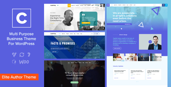Capital v1.7.2 – Multi Purpose Business WordPress Theme Nulled