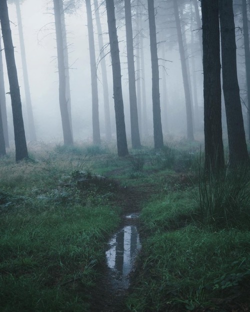 quiet-nymph:Photography by R O B M c G U I N N E S S U K