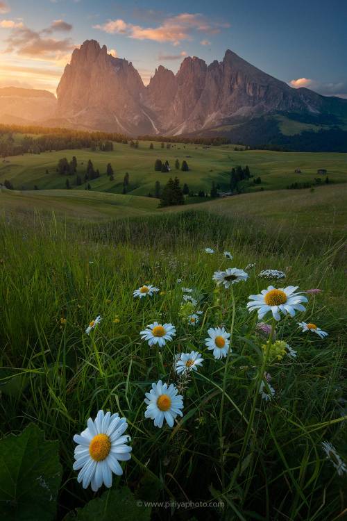 phantastrophe:Seiser Alm, Italy | Photographer: Pete...