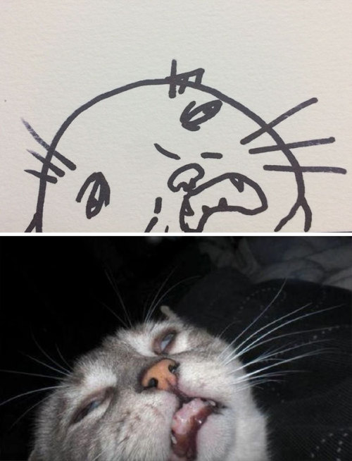 catsbeaversandducks:Super-realistic!By poorly drawn cats