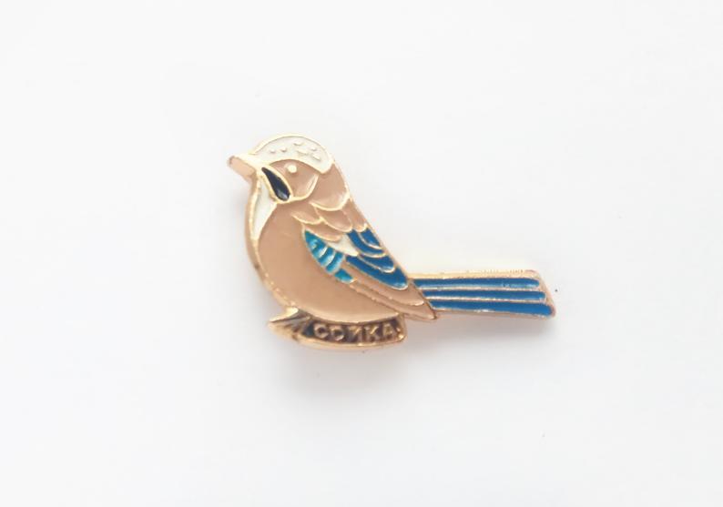 Jay bird enamel pin