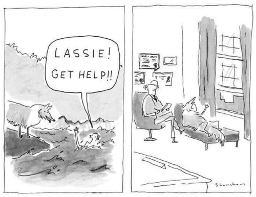 talesfromweirdland:“Lassie! Get help!!”New Yorker cartoon by...