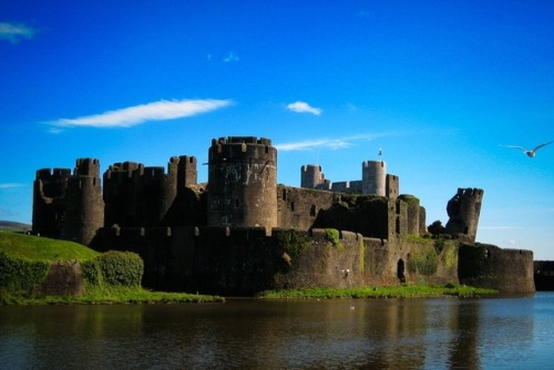 MEDIEVAL CASTLE: MEDIEVAL castles were built from the 11th...