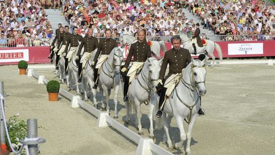 CAV Spanische Hofreitschule Wien Heldenberg 01