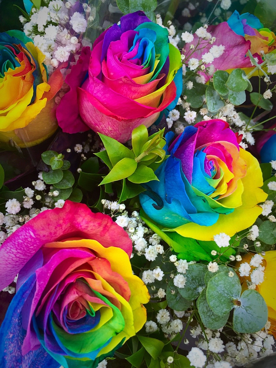  Aesthetic  Rainbow  Flowers Largest Wallpaper Portal