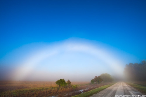 sixpenceee:A fog bow appears as a bow in fog rather than rain....