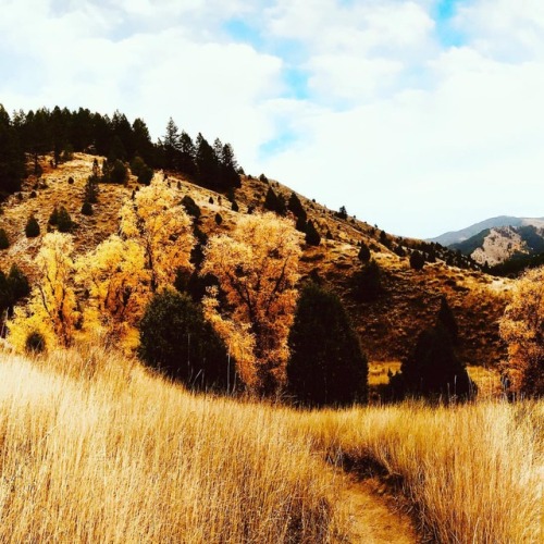 Fall is finally here. #idaho #elkhunting #hunting #scouting...