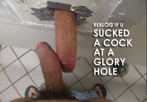 mymouthmade4cock:gloryholebonanza:Watch Live Guys FreeYes...