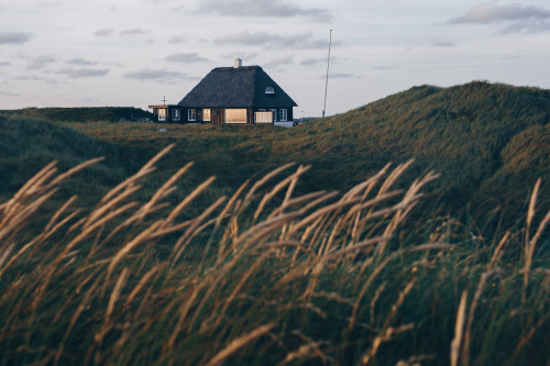 piavalesca:a house in the dunes