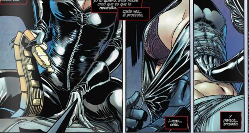 Batman X Catwoman Comic